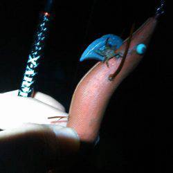 まあまあえーサイズ